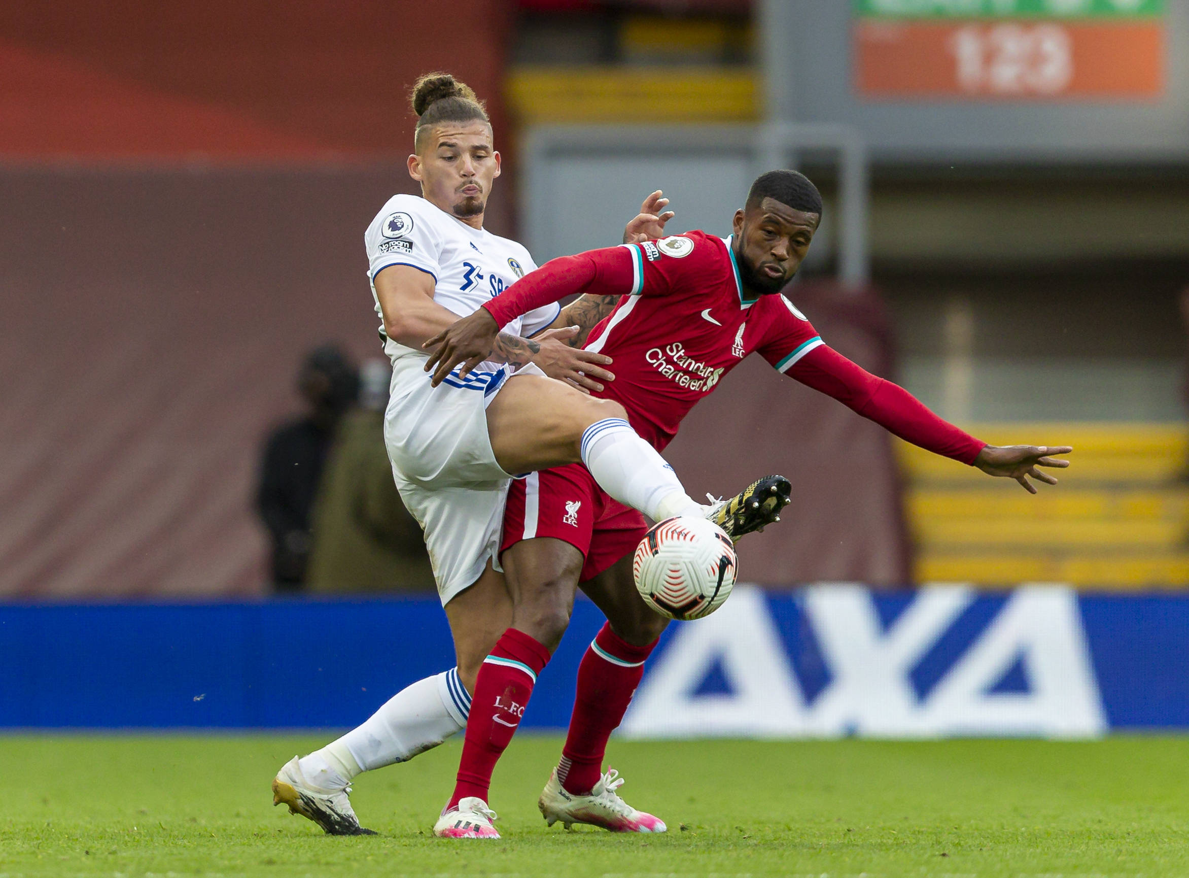 尔和皇家社 尔和皇家社